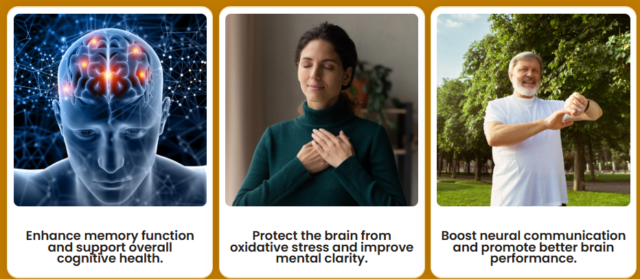 MemoHoney® benefits — enhance memory, protect the brain, boost neural communication